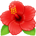 Facebook 🌺 Hawaii Flower