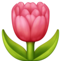 Facebook 🌷 tulipán