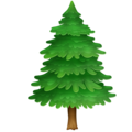 Facebook 🌲 Pine Tree