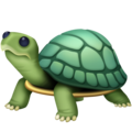 Facebook 🐢 Turtle