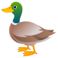 Joypixels 🦆 Rubber Duck