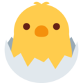 Twitter 🐣 Chick