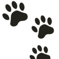 Emojidex 🐾 Dog Paw Print