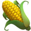 Apple 🌽 Corn
