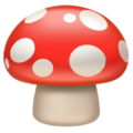 Apple 🍄 Mushroom