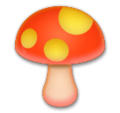 LG🍄 Mushroom