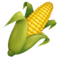 Whatsapp 🌽 Corn