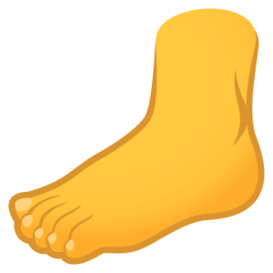 Openmoji🦶 Pie