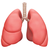 Apple 🫁 Pulmones