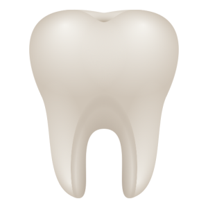 Openmoji🦷 Dente