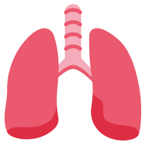 Emojidex 🫁 Pulmones