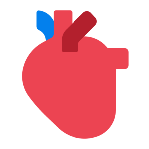 HTC 🫀 Anatomical Heart