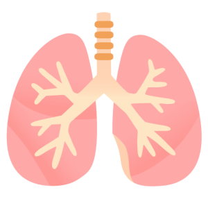 Google 🫁 Pulmones