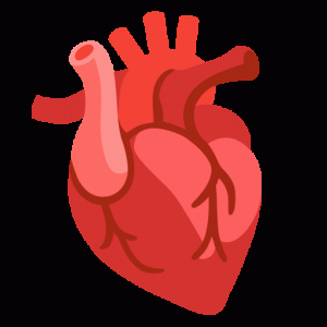 Samsung 🫀 Anatomical Heart