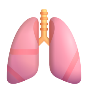 Microsoft 🫁 Pulmones