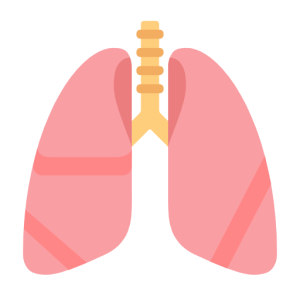 Twitter 🫁 Pulmones