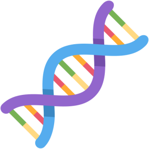 Skype 🧬 DNA