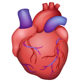 Skype 🫀 Anatomical Heart