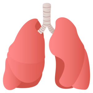 Skype 🫁 Pulmones