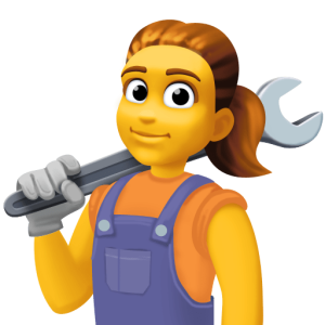 Skype 👩‍🔧 Woman Mechanic