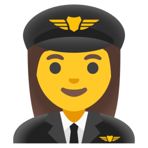 Google 🧑‍✈️👨‍✈️👩‍✈️ Pilots