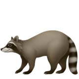 Apple 🦝 Raccoon