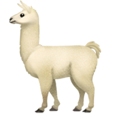 Apple 🦙 An Llama