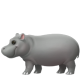 Apple 🦛 Hippopotamus