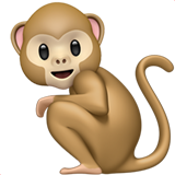 Apple 🐒 Um macaco