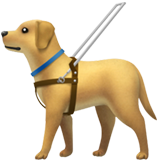 Apple 🦮 Guide Dog