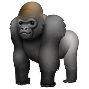 Facebook 🦍 A Gorilla