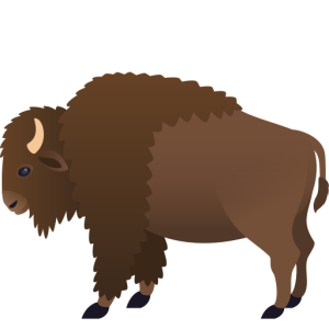 Skype 🦬 Bison