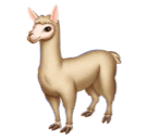 Skype 🦙 An Llama