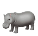 Skype 🦛 Hippopotamus