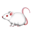 Facebook 🐁 A Mouse
