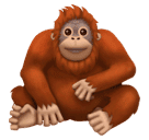 Facebook 🦧 Orangutan