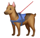Facebook 🐕‍🦺 Service Dog