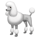 Facebook 🐩 A Poodle