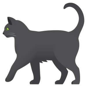Skype 🐈‍⬛ Black Cat