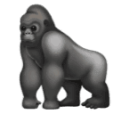 Skype 🦍 A Gorilla