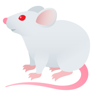 Skype 🐁 A Mouse