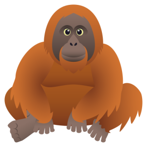 Skype 🦧 Orangutan