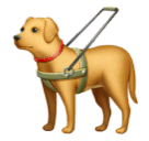 Facebook 🦮 Guide Dog