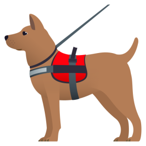 Skype 🐕‍🦺 Service Dog