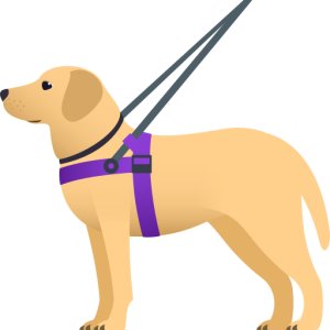 Skype 🦮 Guide Dog