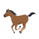 Openmoji🐎 A Horse