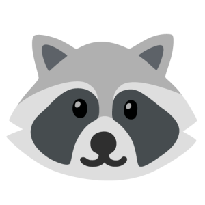 Google 🦝 Raccoon