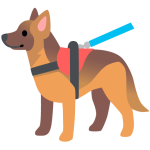 Google 🐕‍🦺 Service Dog