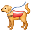 Samsung 🐕‍🦺 Service Dog