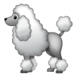 Samsung 🐩 A Poodle